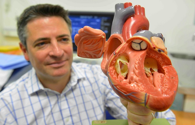 A man holding up a plastic model of a heart