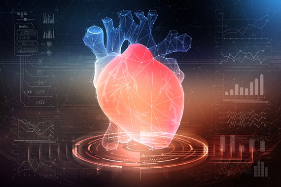 3D model of the human heart