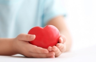 child holding model heart
