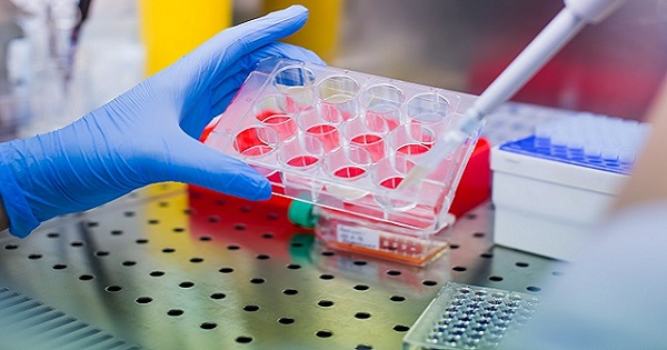 Scientist in the lab