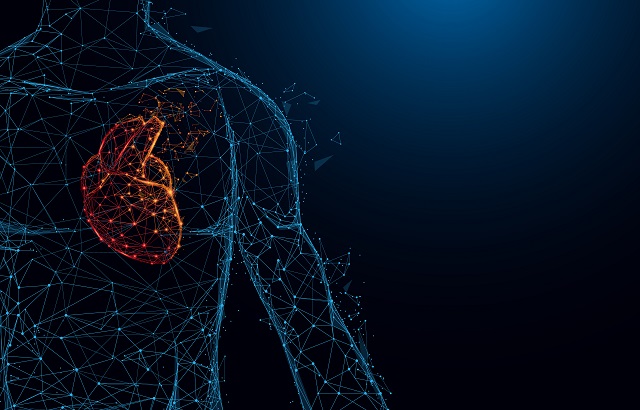 Abstract image of an anatomical heart