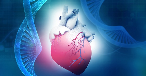 Heart DNA
