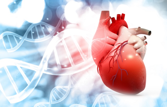 DNA and the heart