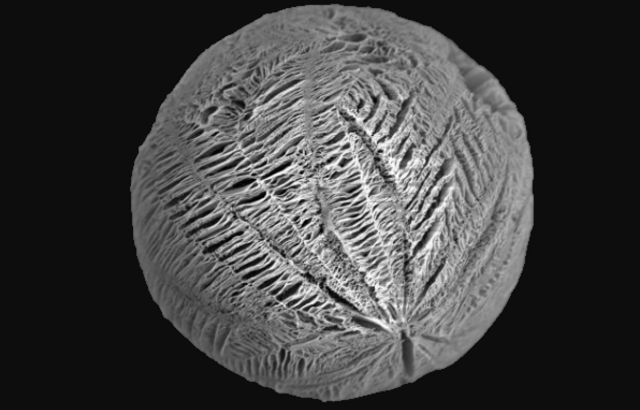 Biodegradable microsphere