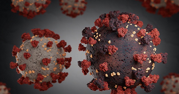 Coronavirus variants