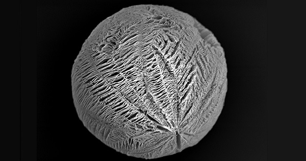 Biodegradable microsphere