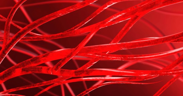 Blood vessels and arteries