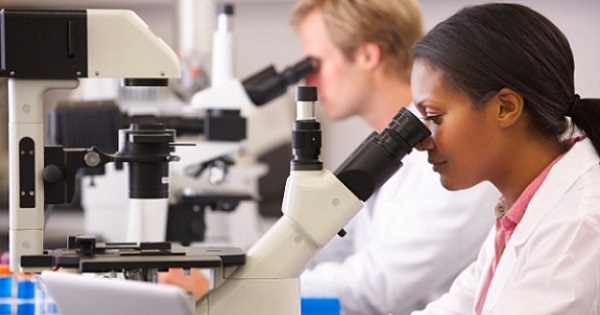 Two early career researchers