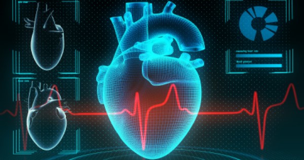 Digital image of a heart