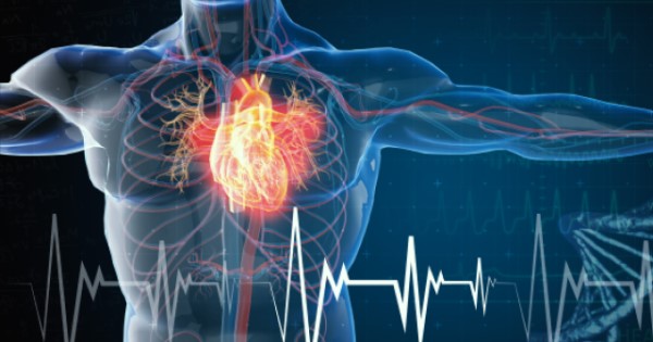 Digital heart with genome