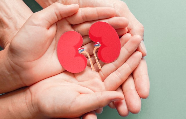 Two pairs of hands, one on top of the other. On top there is a cut out of a simple diagram of a pair of kidneys.