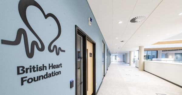 Photograph showing BHF lab space in the newly opened Cambridge Heart and Lung Institute