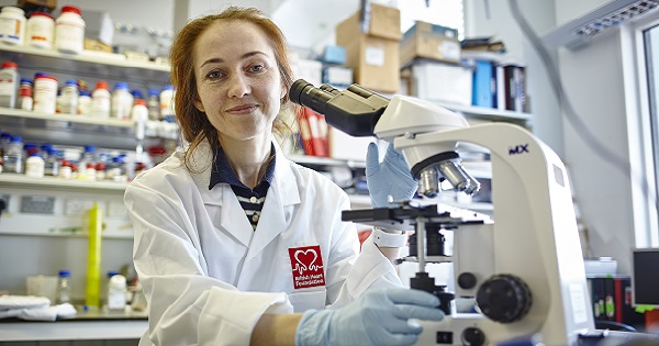 Professor Svetlana Reilly