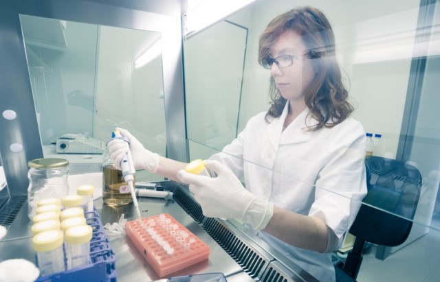 A researcher pipetting