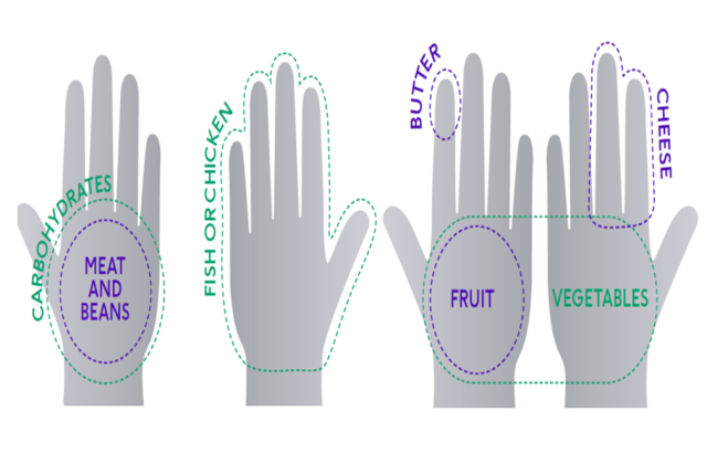 4 graphic hands with dotted circles to indicate portion sizes for carbohydrates, fruits, vegetables, cheese and butter