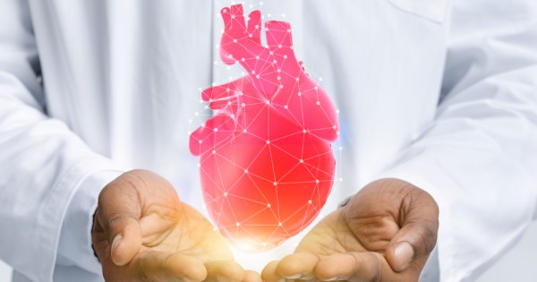 A digital diagram of a heart