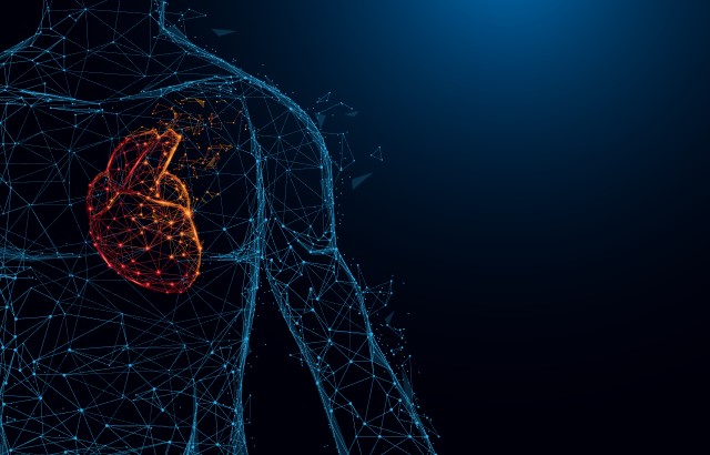 The graphic outlining the left side of a persons chest/arm with their heart highlighted