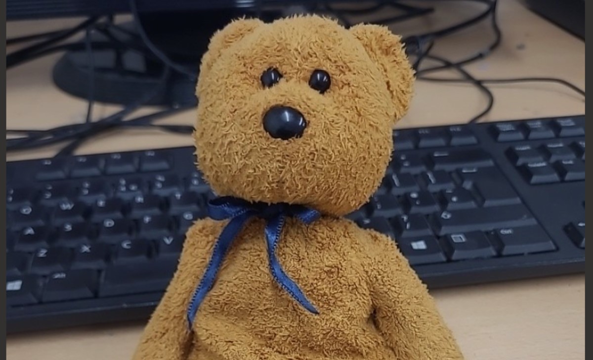 A brown teddy bear with a blue ribbon around it's neck. 