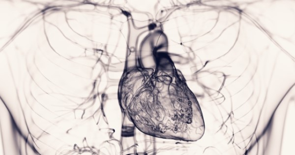 A scan showing the heart and its vessels in detail