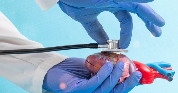 A photograph of the forearms and hands of someone. They are wearing a white coat and blue surgical gloves. In one hand they have a plastic model of a heart and in the other they are holding a stethoscope slightly over the heart.