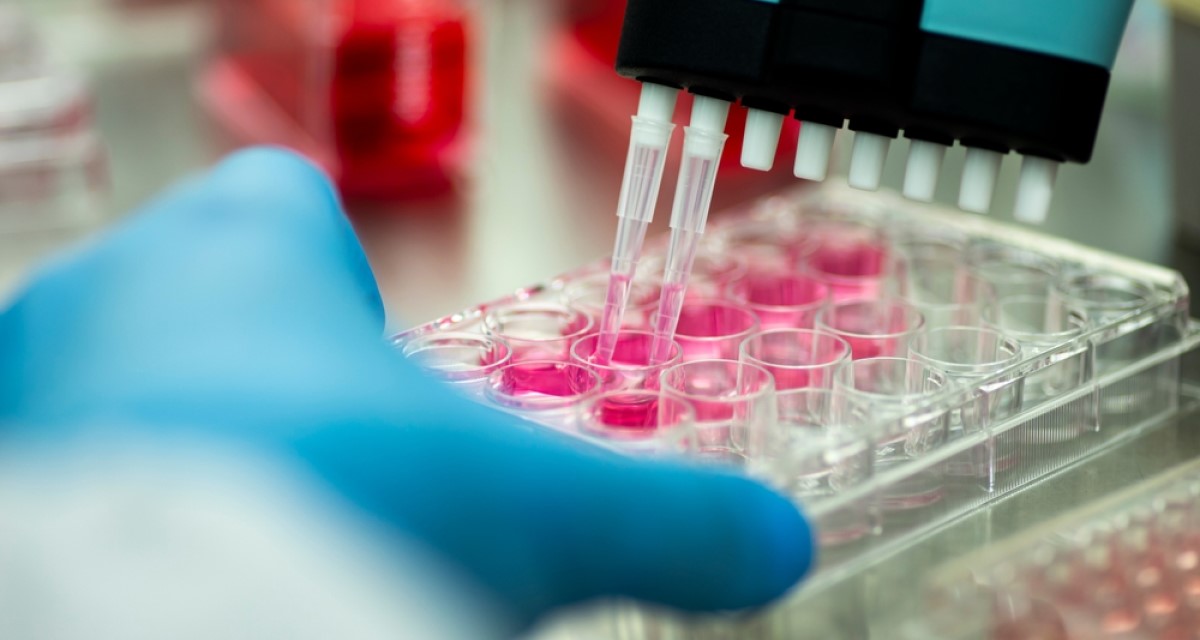 Blue gloved hands pipette a pink liquid into multiple test tubes