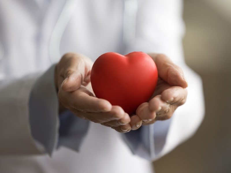 Doctor holding a red heart