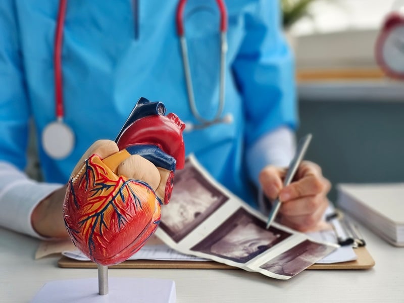 Stock photo of an anatomical model of a heart, with a doctor in the background looking at heart scan images. 