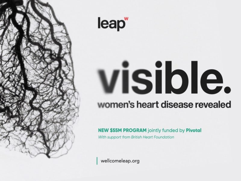A grey graphic with the words Leap, visible, women's heart disease revealed in black writing. In green writing it says: New $55m program jointly funded by Pivotal with support from British Heart Foundation'. At the bottom it says wellcomeleap.org. There is an image of a heart showing the main and micro arteries and veins. 