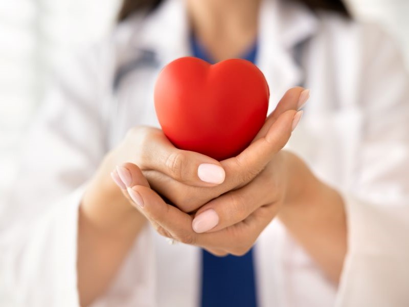 Doctor holding a heart