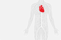 Grey body with red heart 