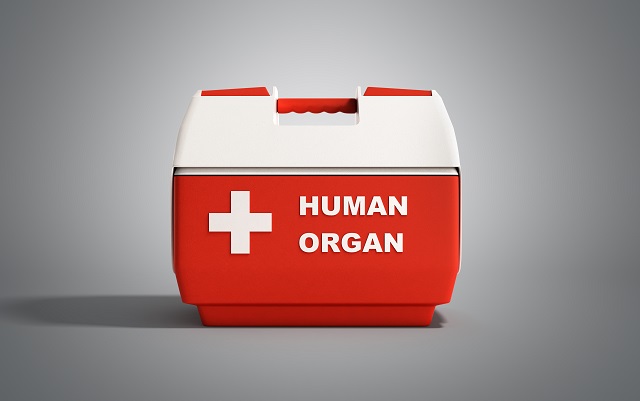 Human organ freezer box