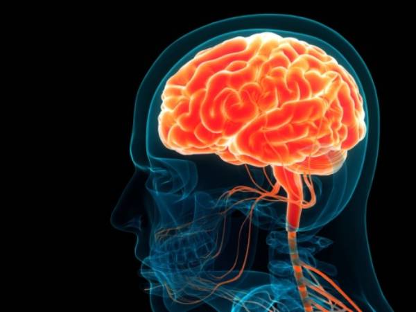 an x ray of the brain with a red spot highlighting the brain and blood vessels in the neck