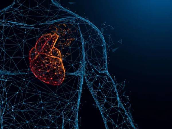 a computer generated image of a man's torso and a red heart brightly illuminating inside it