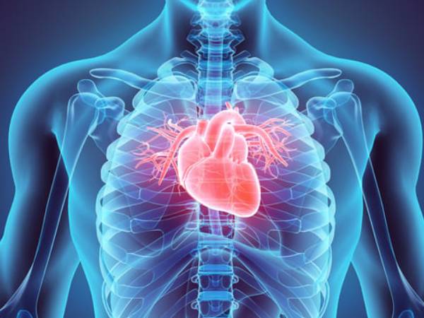 a 3D illustration of chest xray showing a heart illuminated in red