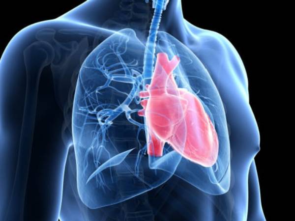 a 3d xray image of a male chest which highlights the lungs in red