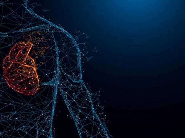 a digital map of a male torso and a heart