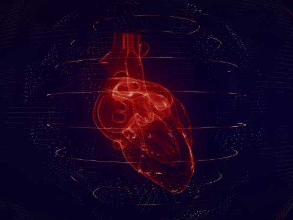 an image of a heart in the style of a digital map