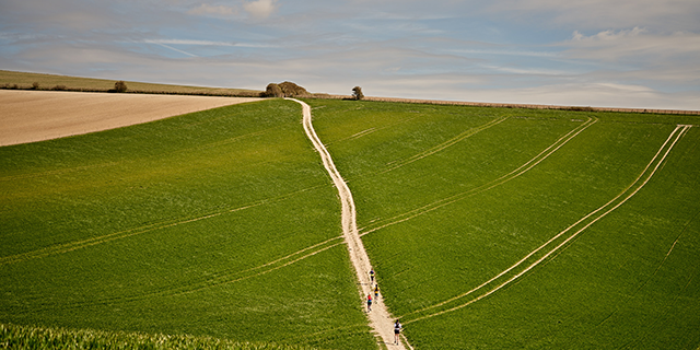 Runners on country trail 